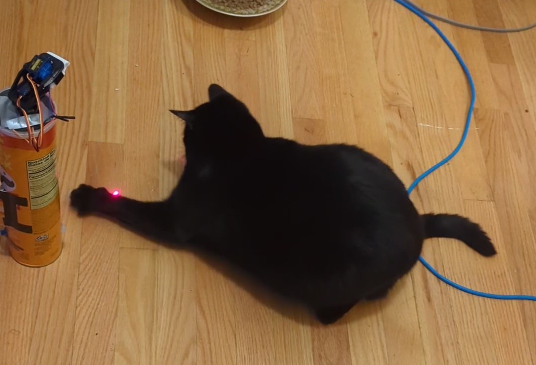 motion activated laser toy